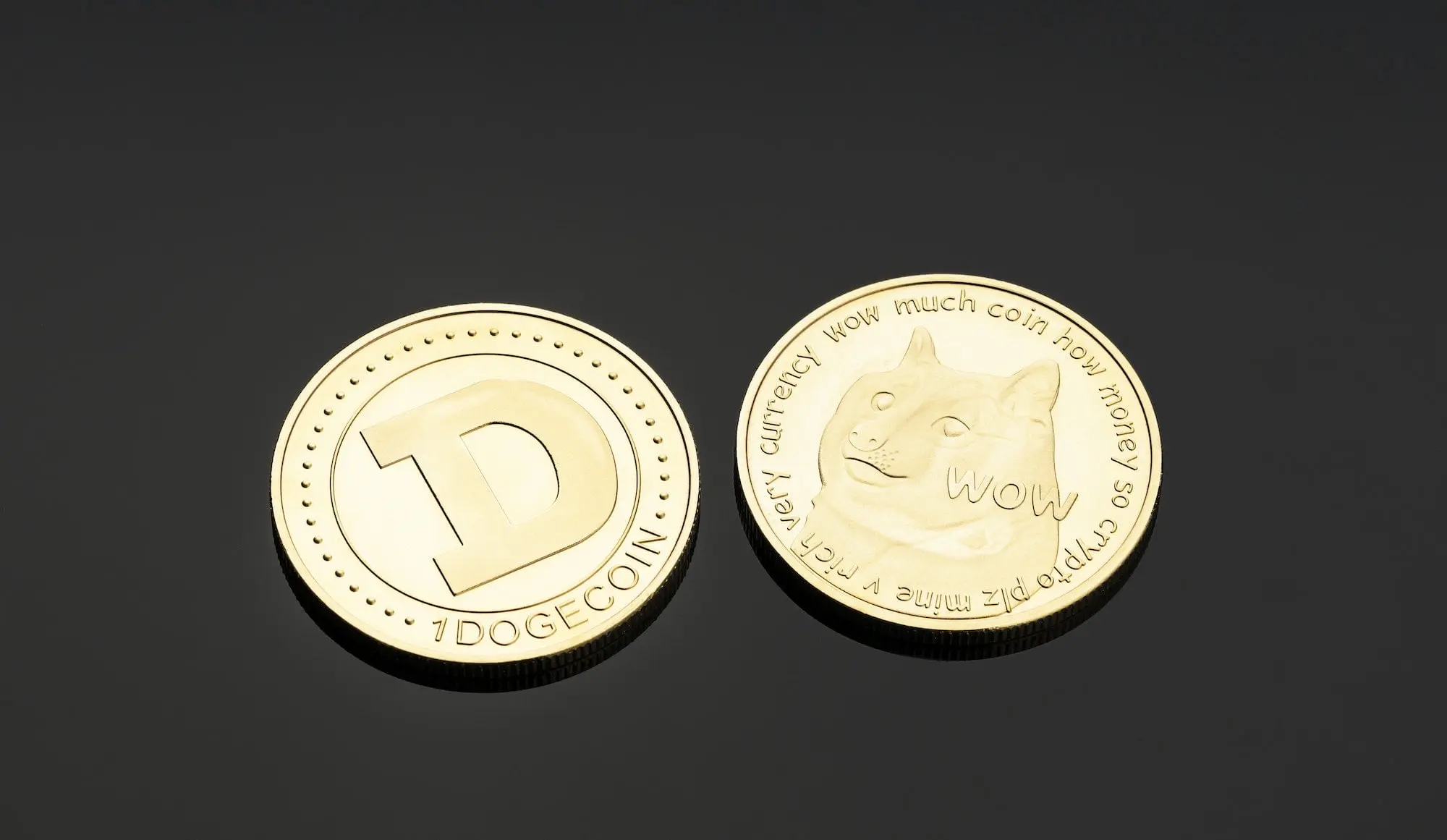 Dogecoin kurs - följ med i upp- och nedgångar