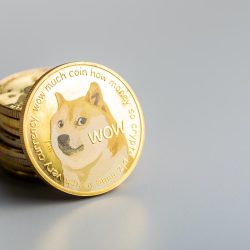 dogecoin guld dogecoin guld
