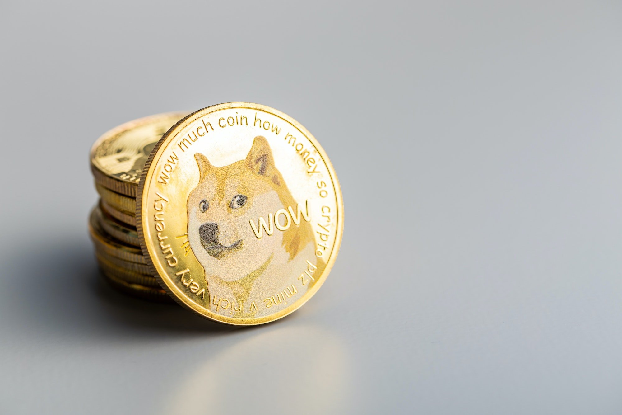 dogecoin guld dogecoin guld